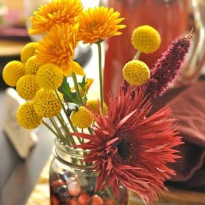 Meet your Posher, Wanda